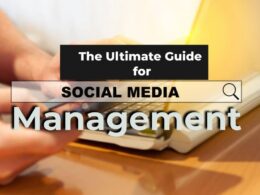 Social Media Marketing, Social Media Marketing Management