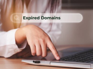 Expired Domains, quality backlinks, SEO opportunities