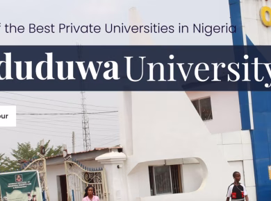 Oduduwa University School Fees